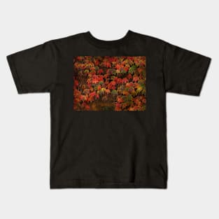 Autumn Most Colourful Kids T-Shirt
